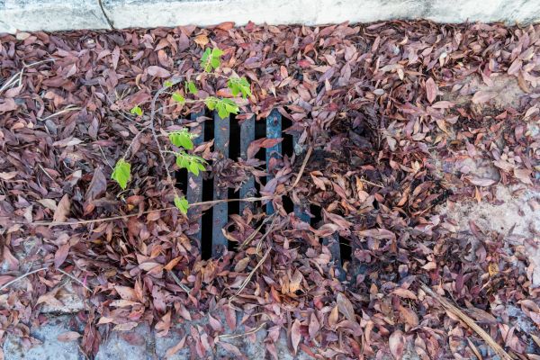 Cost of Yard Drain Unclogging in Lebanon
