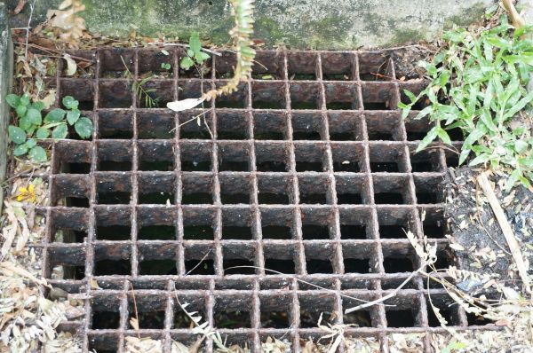 Cost of Yard Drain Cleaning in Lebanon