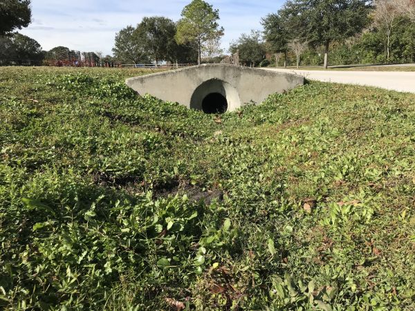Cost of Swale Drainage Service in Lebanon