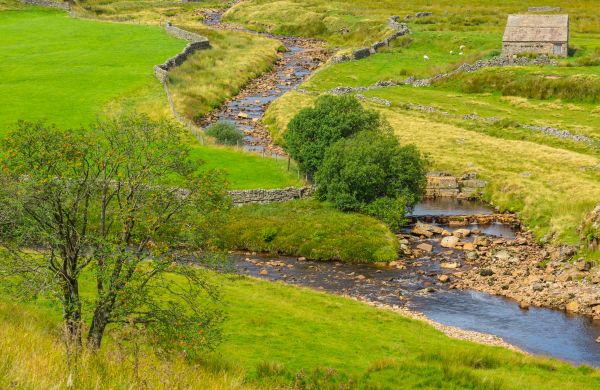Cost of Swale Repair in Lebanon
